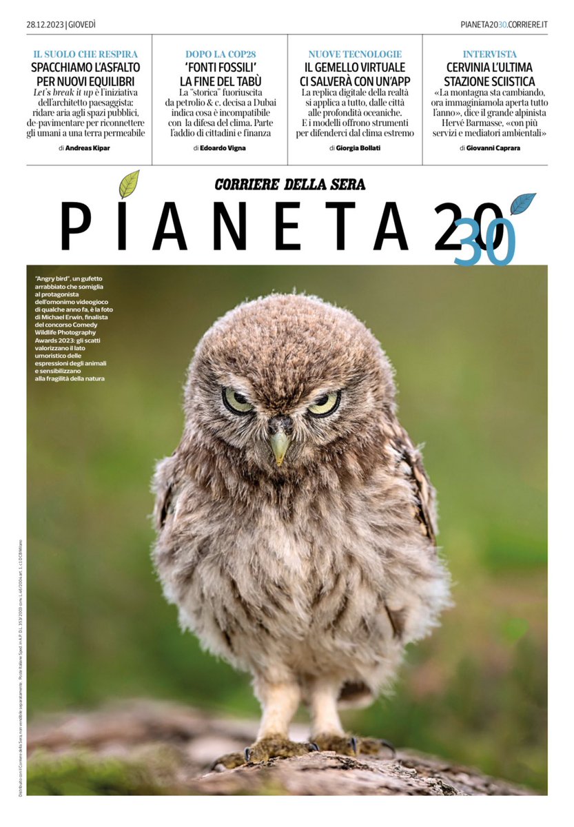 Edoardo Vigna tweet media