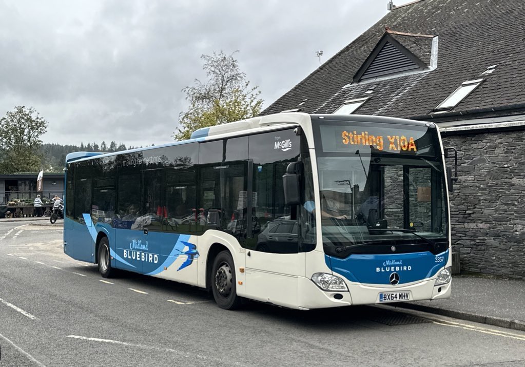 Midland Bluebird tweet media