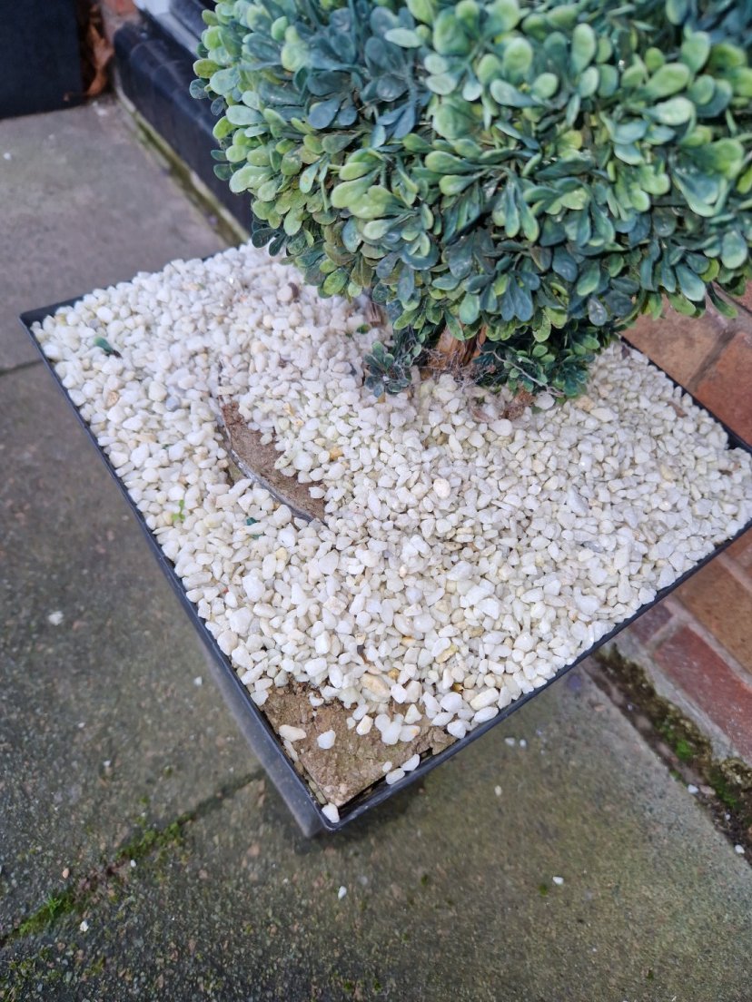 pissedconsumer's tweet image. What do you think about this situation?
"We have 2 expensive topiary trees at our front door chained to the wall Amazon delivery driver has dragged one away from..." Read on what happened: bit.ly/3vh27Ib

#Amazon #AmazonDelivery