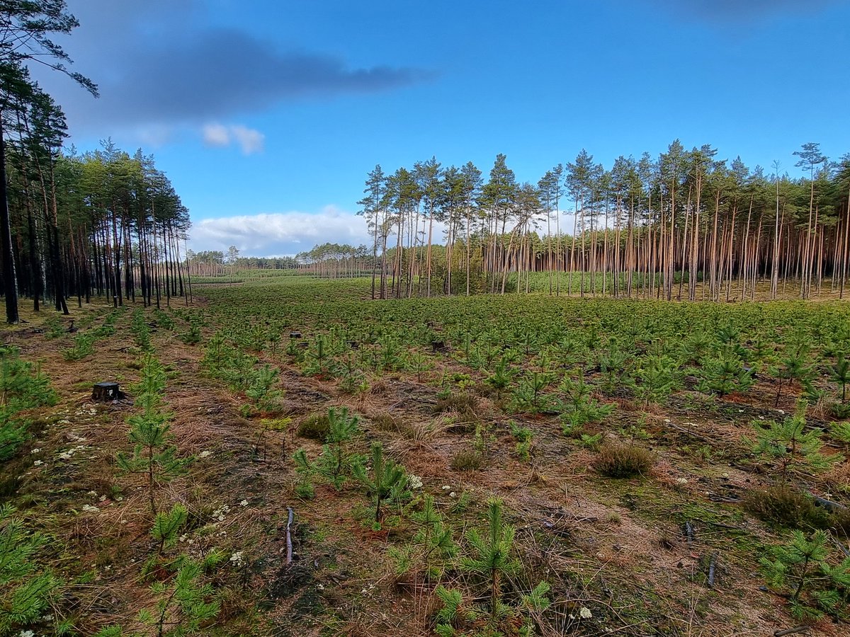 MariuszMachnik's tweet image. &quot;Zimowy&quot; spacer...
#Kaszuby