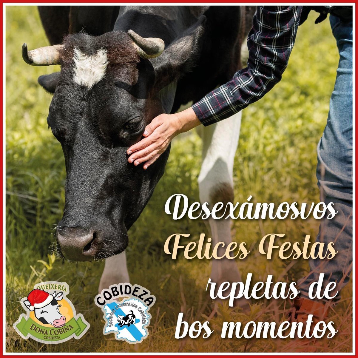 Desde Dona Cobiña desexámosvos unhas felices festas e un próspero aninovo repleto de saúde e felicidade✨