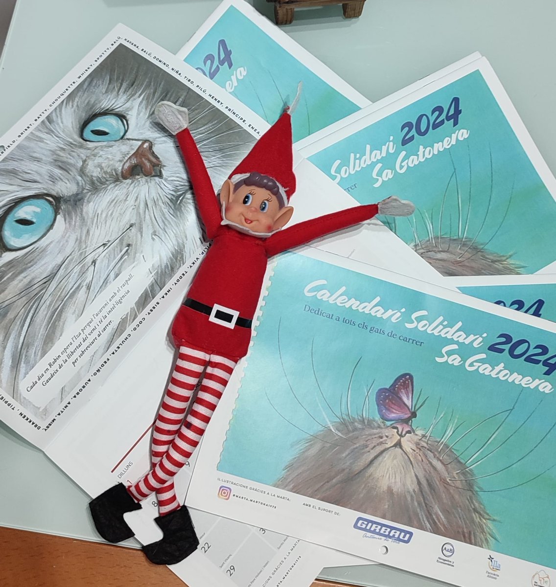 Sa Gatonera Blanes tweet media