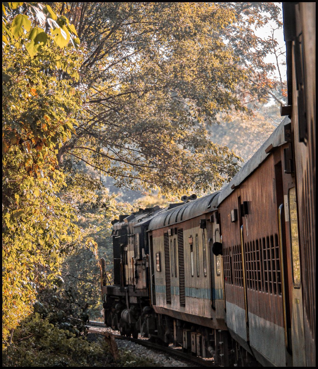 Chugging through the #woods like an #enchanted dream ! 

Inframe - #Naharlagun (#Itanagar) - #Shokhuvi #DONYIPOLO Exp curves towards its next halt !! 

#NFRailEnthusiasts

@drm_lmg_nfr | @RailNf | @RailMinIndia | @AshwiniVaishnaw