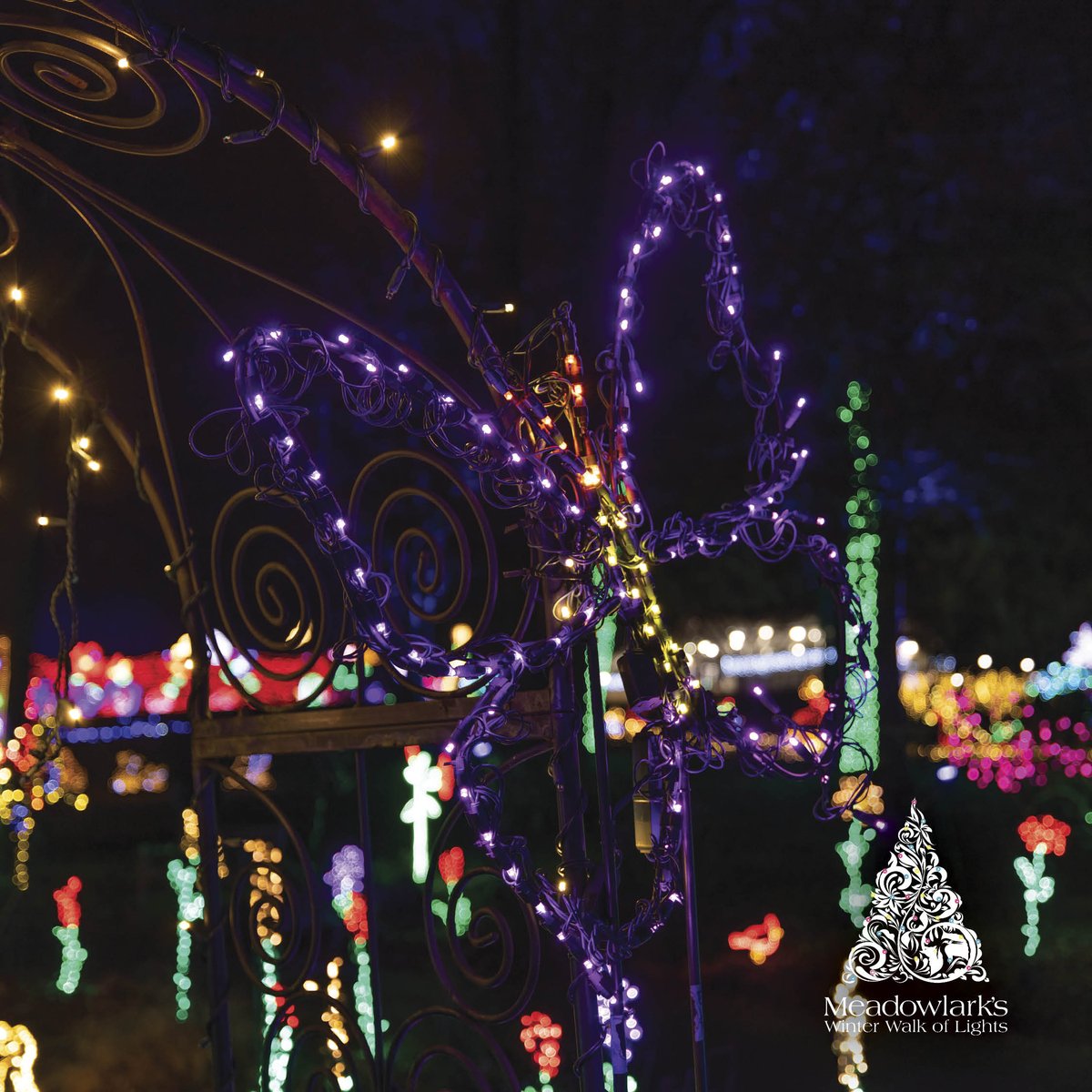 Wind down the holiday season with a leisurely stroll through the botanical garden and experience the sophisticated beauty at Meadowlark's Winter Walk of Lights!  

Tickets must be purchased online. 

Tickets: ow.ly/9R4v50Ql0EP