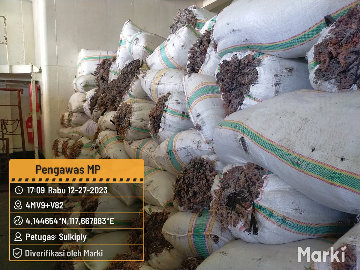BKIPMNunukan's tweet photo. 27/12/2023
#SalamBahari
Laporan Giat Wilker Nunukan,
Pengawasan kedatangan dan keberangkatan pemuatan MP Rumput Laut Kering sebanyak 284.520 Kg/3.243 Koli tujuan Pare2 Via KM. Thalia
@bkipm_kkp
@BKIPMTarakan
#KKPThrive https://t.co/VwamkPK5mW