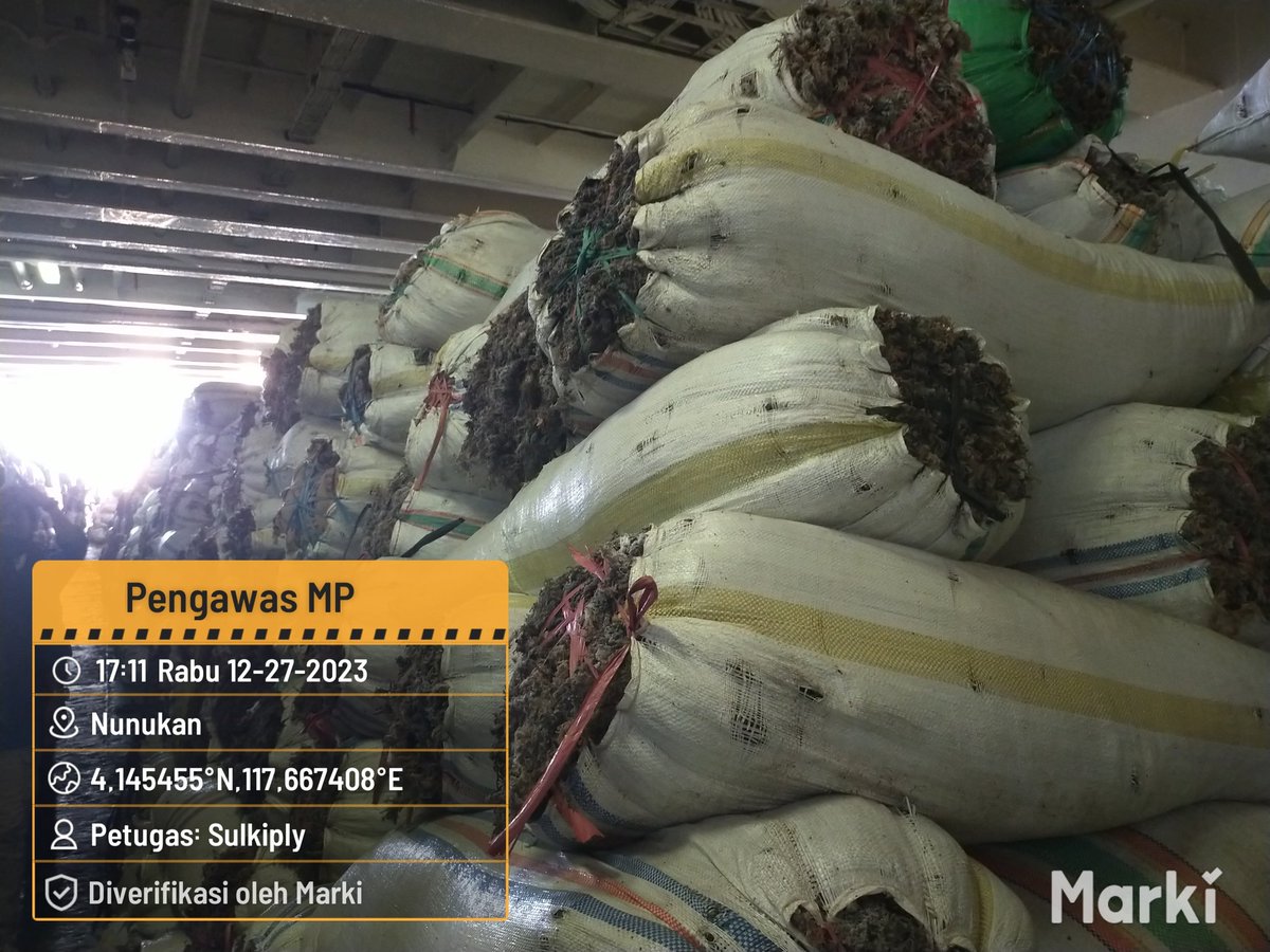 BKIPMNunukan's tweet photo. 27/12/2023
#SalamBahari
Laporan Giat Wilker Nunukan,
Pengawasan kedatangan dan keberangkatan pemuatan MP Rumput Laut Kering sebanyak 284.520 Kg/3.243 Koli tujuan Pare2 Via KM. Thalia
@bkipm_kkp
@BKIPMTarakan
#KKPThrive https://t.co/VwamkPK5mW