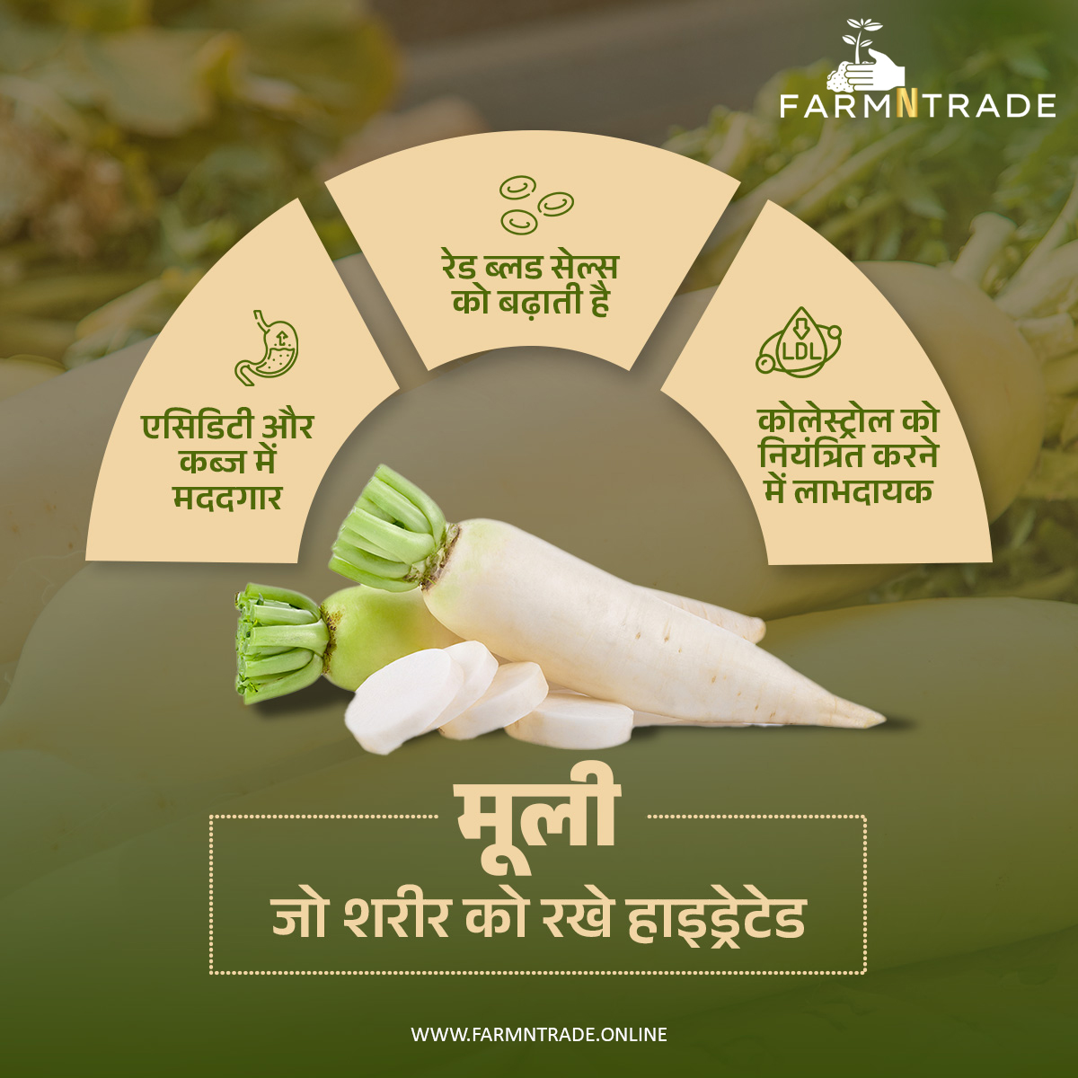 farmntrade's tweet image. Radishes are a versatile vegetable, perfect for enjoying year-round, whether in winter or summer. 
#FarmNTrade #RadishBenefits #NutritiousChoice #YearRoundVeggies #HealthyEatingHabits #BalancedDiet #RadishLove #SeasonalEating #VeggiePower #WellnessJourney #EatHealthy