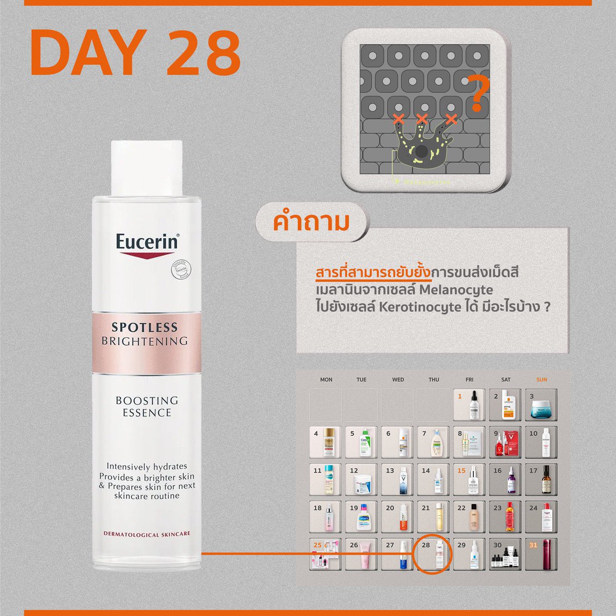 chin_skinnerd's tweet photo. [ 🎁 Day 28 ]
คำถาม : สารที่สามารถยับยั้งการขนส่งเม็ดสีเมลานินจากเซลล์ Melanocyte ไปยังเซลล์ Kerotinocyte ได้ มีอะไรบ้าง ?

ใครตอบถูกเยอะที่สุดชนะ แต่ต้องห้ามมีตัวผิดผสมเข้ามานะ ท้าทายเด็กเนิร์ดกันหน่อย

📷กติกา
1. โควตคำตอบ
2. กดติดตาม

ประกาศผลพรุ่งนี้ 1 ทุ่ม เริ่ม https://t.co/QpFy5o4zr4