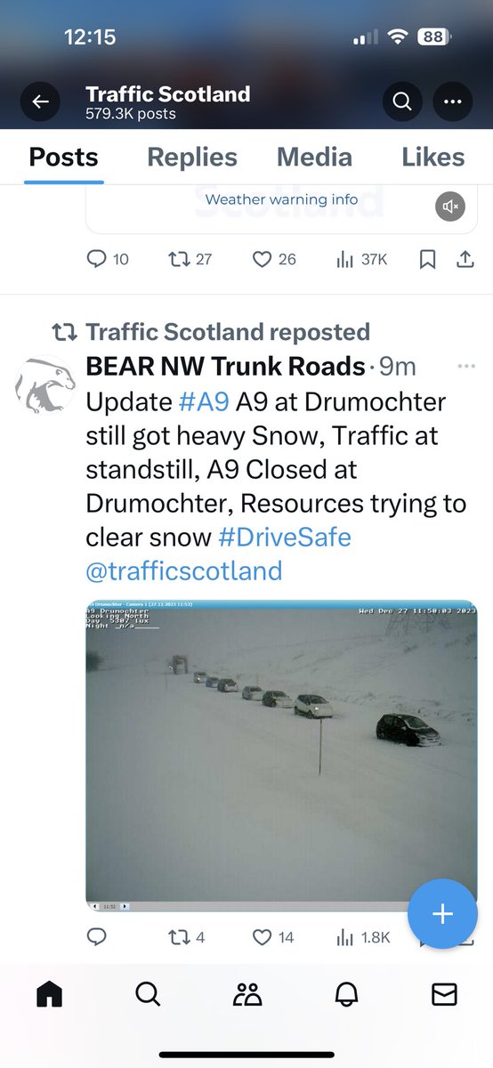 IAN BONE tweet media