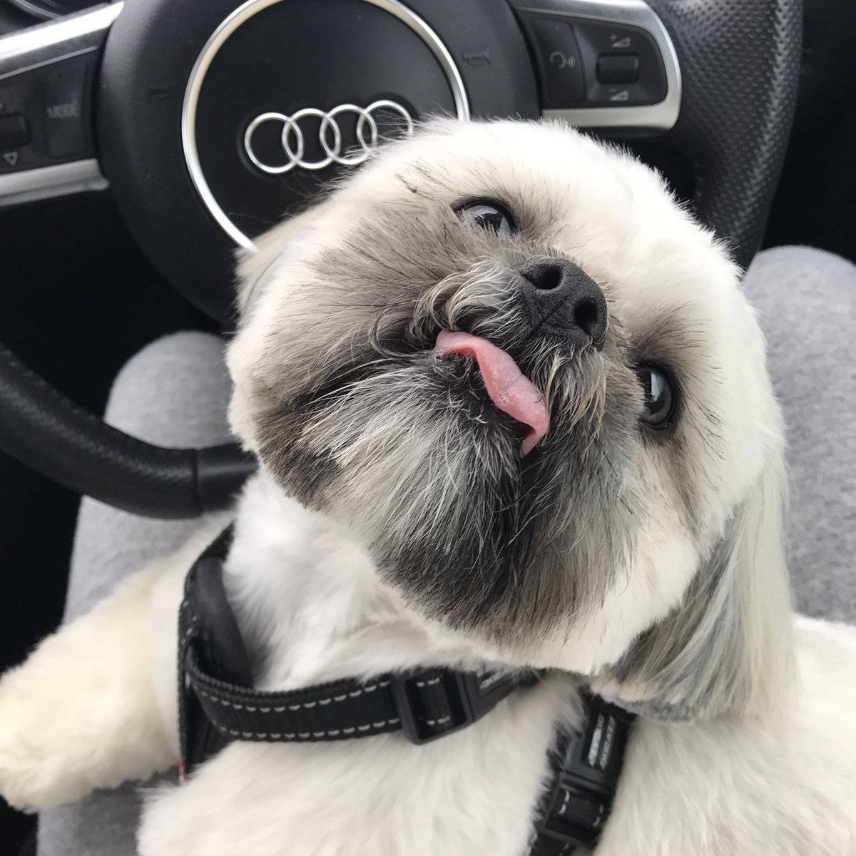 When someone says they like your new haircut