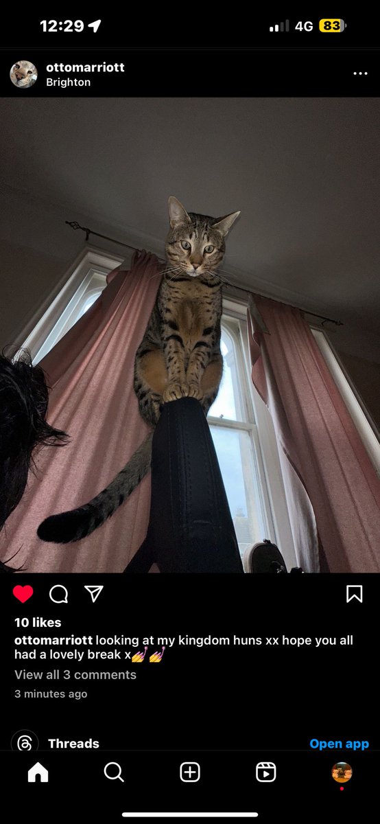 otto updates ˎˊ˗ (@OttoUpdates) / Posts / X