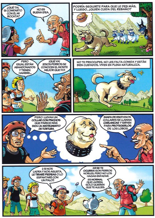 GuillermOngayo's tweet photo. 📌 Los perros de pastoreo han vivido en espacios libres, cuidando del ganado en los pueblos y montes de muchos lugares de nuestro Pais, y han de continuar con su misión. 
📌 Os dejo unas instrucciones que editamos, de cómo actuar cuando nos encontramos con uno de ellos Pulsar 👇 https://t.co/pCiEUKkUeU
