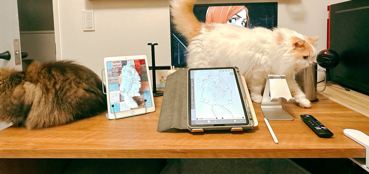 今までリビングで描いてたけどデスクを購入してので部屋で描けるようになって嬉しい。なんだか賑やかだし🤣
（右を向いたらゲーム用のデスクがある）