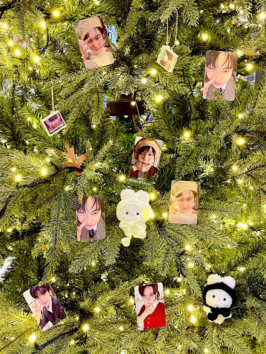 ✨ 뽀행이와 도영이의 비델폴미 ♡ ✨
이번 겨울도 도영이 덕분에 너무 행복해
#도블도블 #최고의_뽀무행이를_찾아라