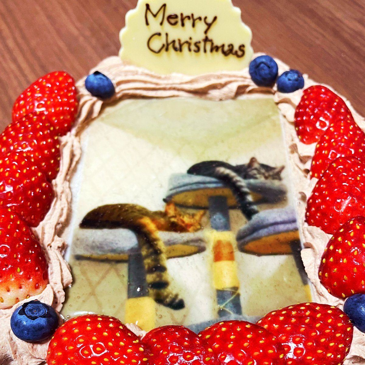 izarikawa's tweet photo. 今年のクリスマスケーキ🎂
寝相が一緒の兄弟ねこ😎
#キジトラ #サバトラ #猫 #SweetsLab https://t.co/um3oiSxRNA