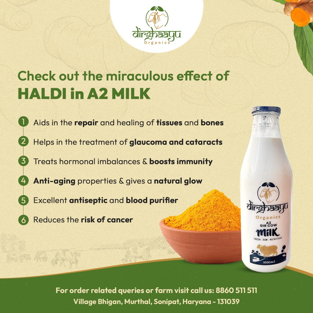 dirghaayufarm's tweet photo. Mixing turmeric's goodness with pure A2 milk creates a healthy powerhouse. Improve your immunity and enjoy overall wellness with every sip. Discover the natural benefits of Haldi in A2 milk for a simple and effective path to health and vitality!

#dirghaayu #LivelongNaturally https://t.co/XLlApAoXEt