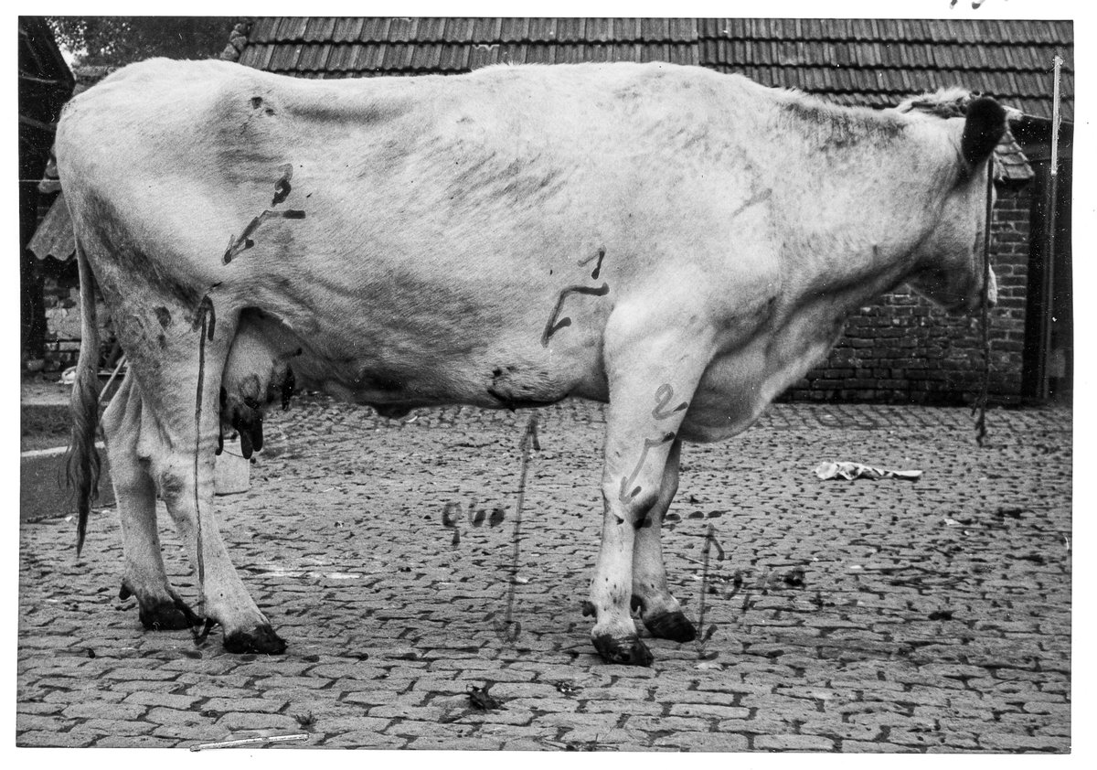 Erik Bulckens / By Accident tweet media
