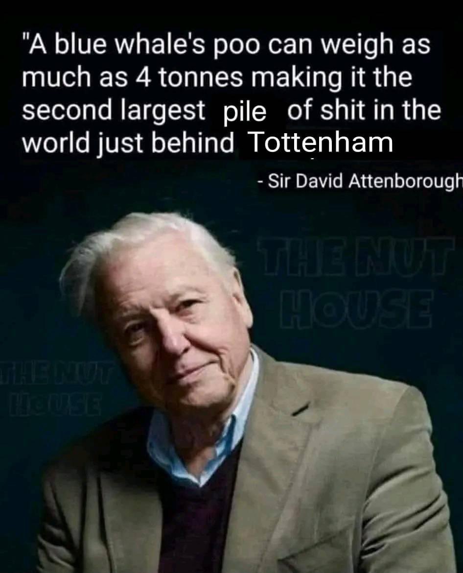 This 🤣🤣🤣🤣🤣🤣🤣🤣
Thank you <a href="/adriancoll1/">adrian coll</a>