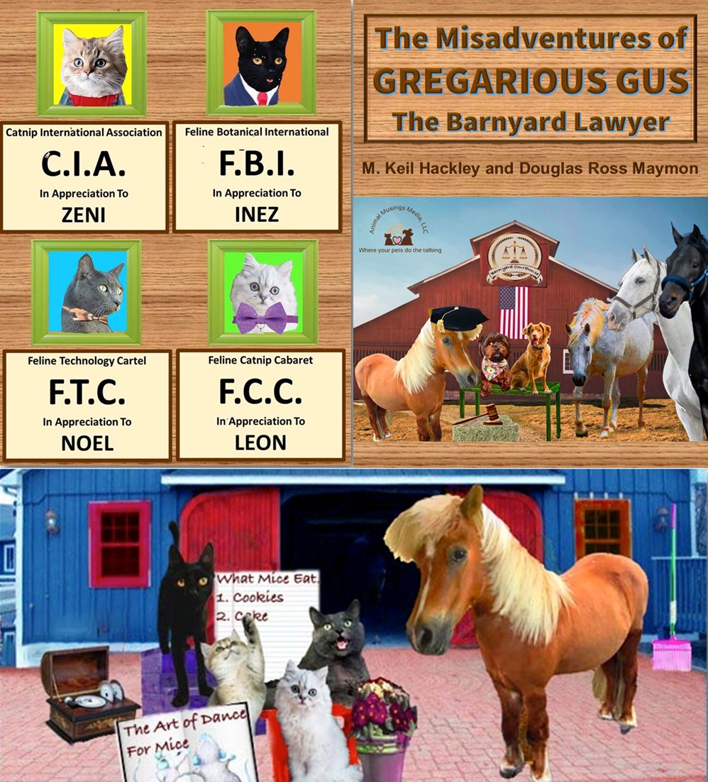 HOLY KITTY CATS, BATMAN! “What in the world are #CATS doing in a book about Gregarious Gus, the Magnificent Mini #Horse?” “Well Robin, why don’t you simply click on the link below, so you can get the book and find out. It is a great read” amazon.com/dp/B08ZW6N8R5
