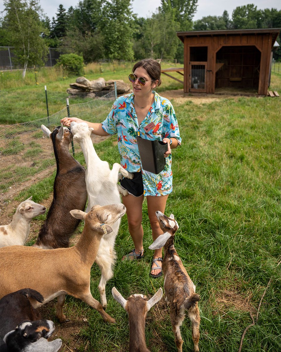 TylerPlace's tweet image. Izzy: Clubhouse Director and resident goat expert
• 
• 
• 
@izzydunn_