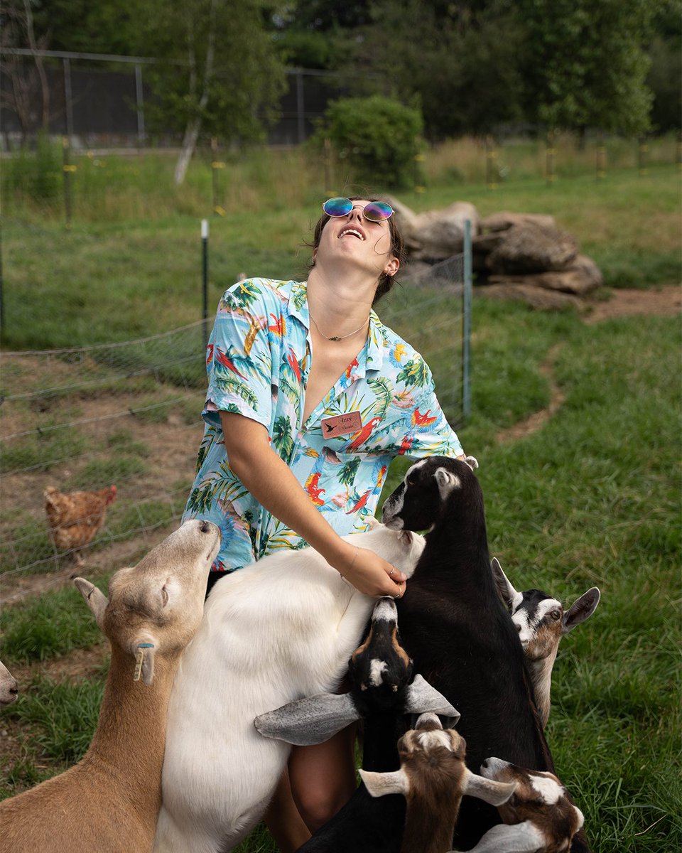 TylerPlace's tweet image. Izzy: Clubhouse Director and resident goat expert
• 
• 
• 
@izzydunn_