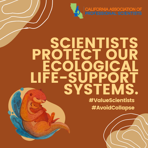 The CAPS Bargaining Team is committed to using all the tools available to ensure fair pay and benefits. Your generous contribution to our Strike Hardship Fund will support our cause. #ValueScientists #PayEquity #DefianceForScience ⬇️🔗
bit.ly/3SiL8P6