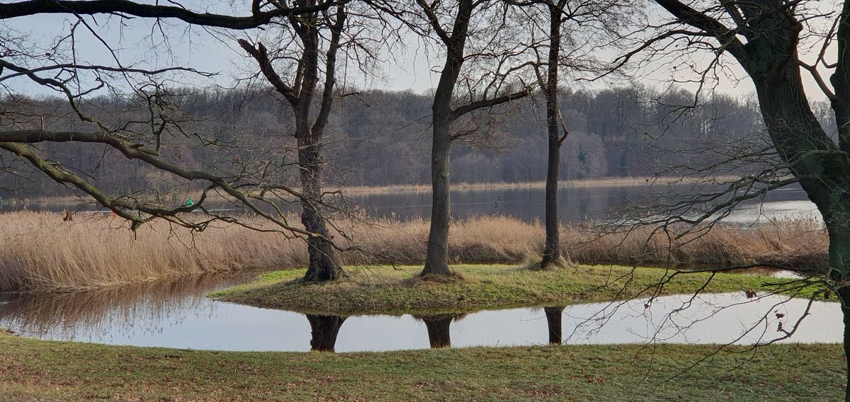 newscracker's tweet photo. Wasser ist das Thema zwischen den Jahren #Havel #Sacrow #WinterSolstice https://t.co/VCQIYDC2n1