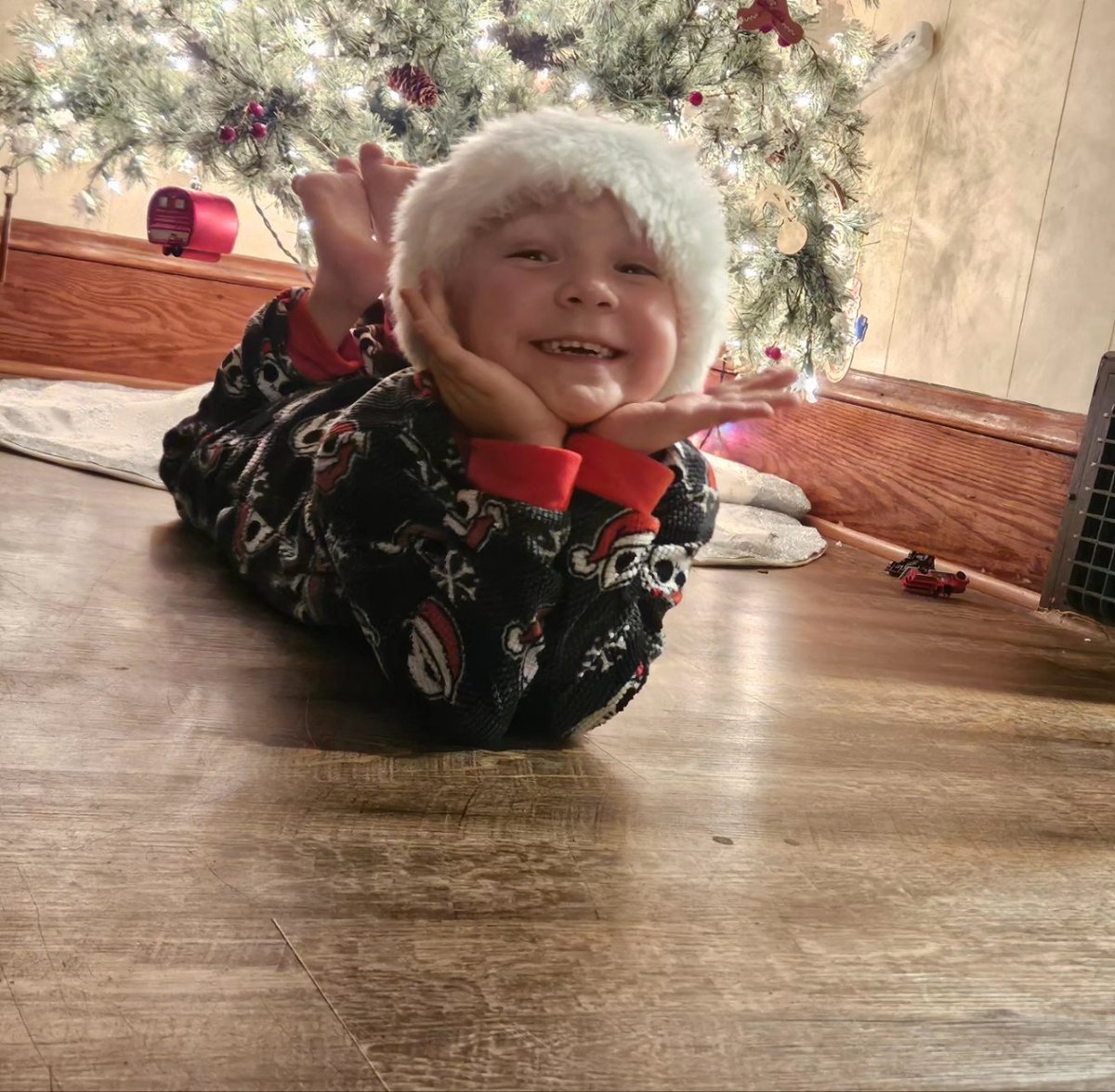 RedPandaWife1's tweet photo. 2023 Christmas eve https://t.co/nMbtew1drX