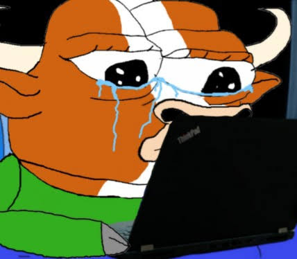 bulle_sol's tweet photo. When you faded $BULLE at the bottom and then realised it is poised to rival the top memecoins on the @Solana chain: https://t.co/1nzgovi7LK