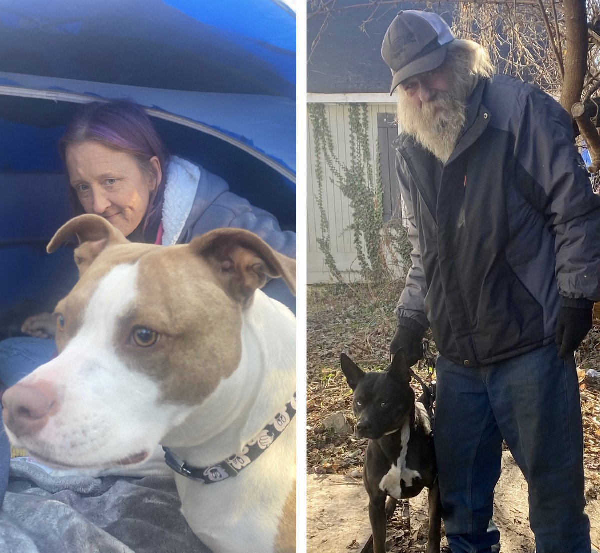 Beyond Fences tweet media