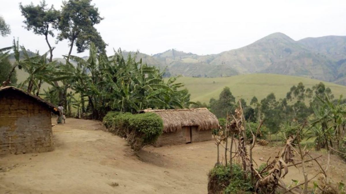 LeSondage_RDC's tweet photo. #RDC🇨🇩 Repoussés dans leurs tentatives de prise de la cité de Rubaya, les terroristes rwandais #RDF_M23 ont été neutralisés dans les villages de #Bunyole, #Matanda, Chez baufin et #Ngingwe, qui passent désormais sous le contrôle des wazalendo. 💪🏽
@Presidence_RDC https://t.co/oaqOiAVgPk