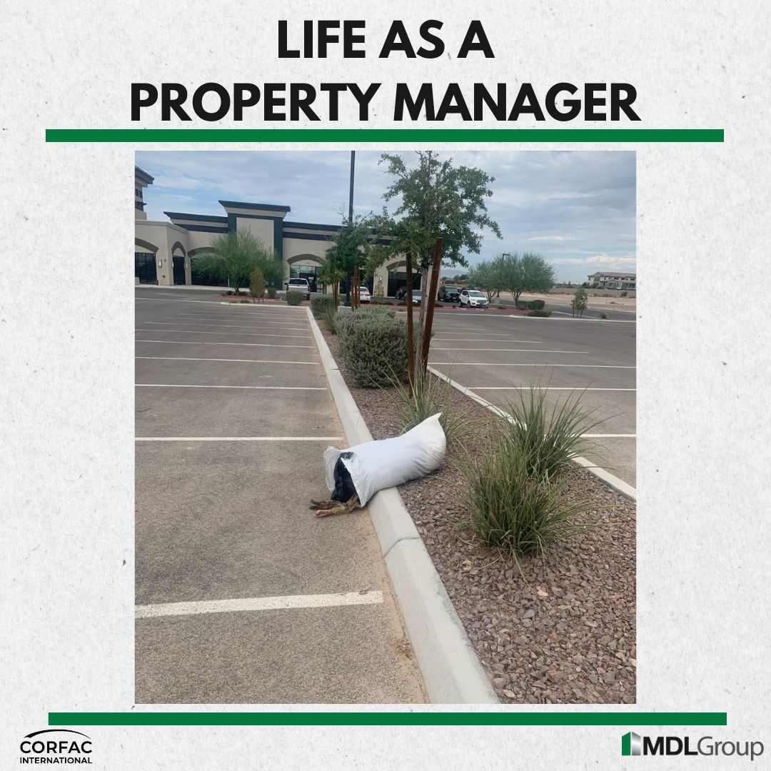 mdlgroup's tweet photo. Our property managers knew this situation was bad. Animal Control had an officer on site within the hour - thank you for your dedication to the City. Responsive. Proactive. Experienced. #MDLGroup #CORFAC #MDLdifference #commercialrealestate #PropertyManagement #CRE #lifeasapm https://t.co/zMd9cWuoKP
