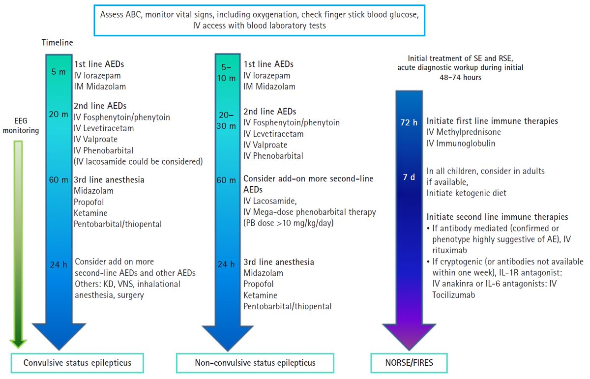 CritCareReviews's tweet photo. Management strategies for refractory status epilepticus

CCR Journal Watch
https://t.co/Sp06oA6IDG

Get the latest critical care literature every weekend via the CCR Newsletter - subscribe at https://t.co/nitMzacLrj https://t.co/uhl6mygAqy