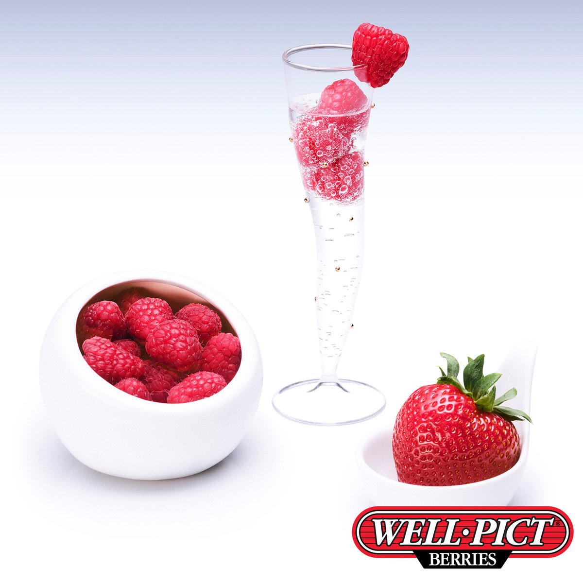 wellpictberries's tweet photo. How can you have champagne without Well•Pict Berries? 🍓

#WellPictBerries #WellPict #Berries #Strawberries #Raspberries #Champagne https://t.co/wu7bchxbcc