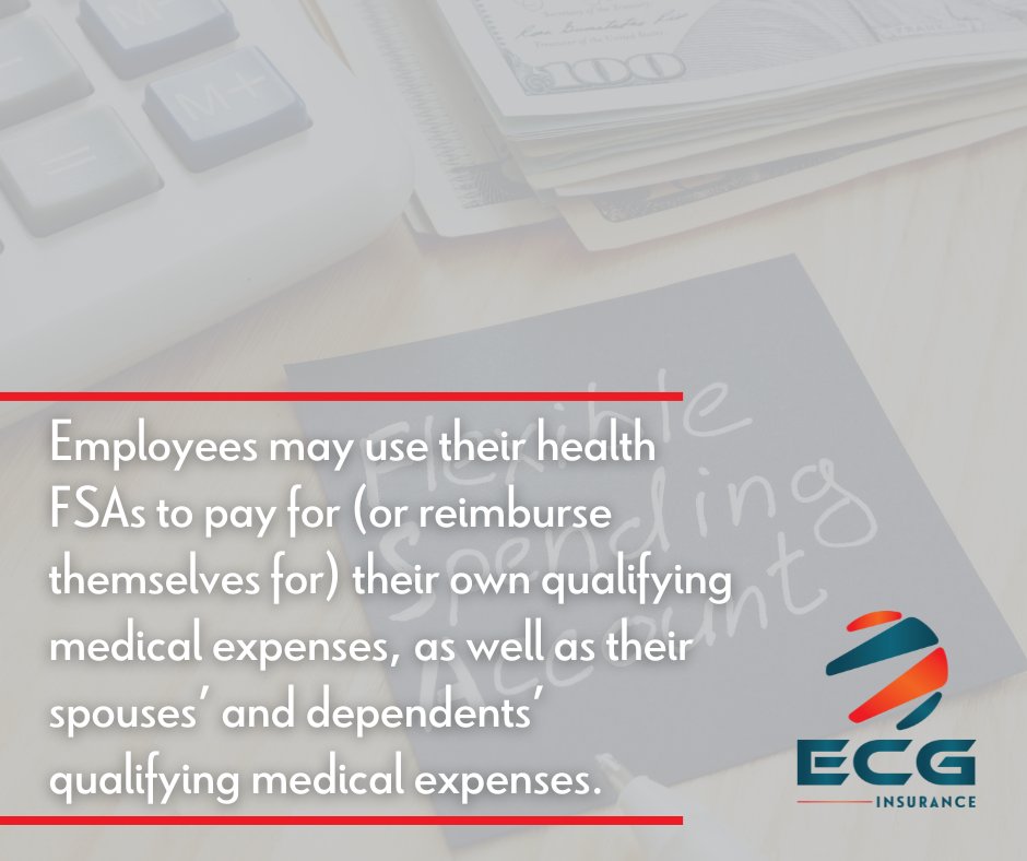 EcgInsurance's tweet image. Many great benefits exist for employees who take advantage of a Health FSA. Learn more about Health FSAs in our latest blog post:
ecginsurance.com/qa-health-flex…

#ECGInsurance #InsuranceMadeSimple #HealthFSA #FlexibleSpendingAccount #FSA