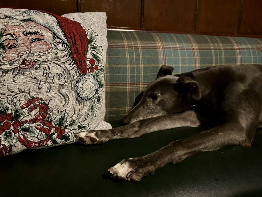 Fergal O'Brien Racing tweet media