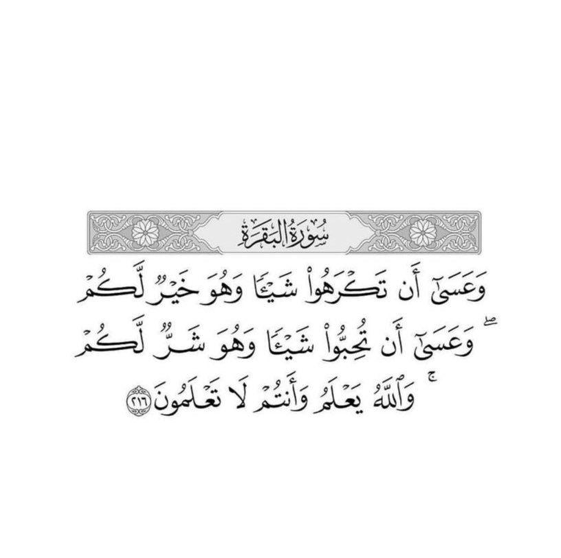 ii_e19's tweet photo. فاطمئن ❤️ https://t.co/LLWBUQRQf9