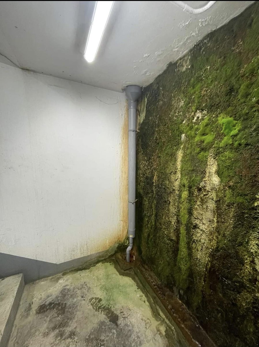 MedhiAsten's tweet photo. Agent immo : "Aucune trace d'humidité dans l'immeuble" https://t.co/1D3g7PMlPC