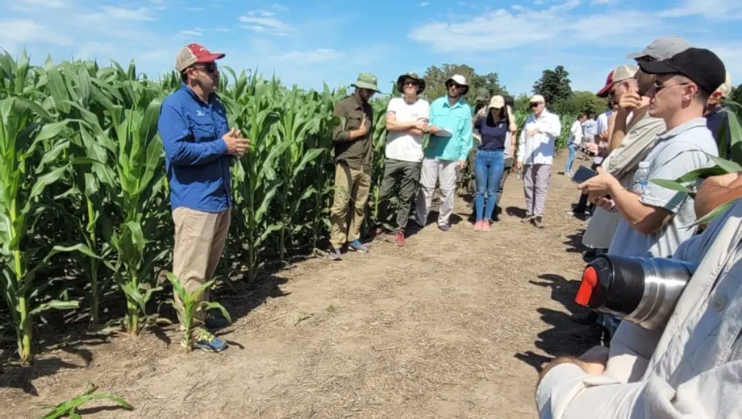 AgroProdas's tweet photo. Recorrida MIB Los Cardos
@brevantsemillas 

📍Los Cardos, Santa Fe.

Muchos datos para la zona.
#Brevant #Información 
#Tecnologia #Desafios
#Rendimiento 
https://t.co/r8quI0jrip https://t.co/MJNWJkmed2