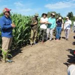 Photo by Prodas Agro (@AgroProdas)