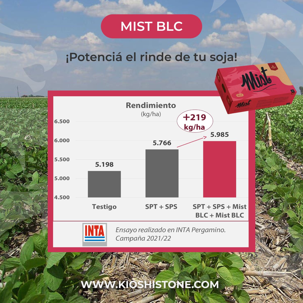 Kioshi Stone S.A. tweet media