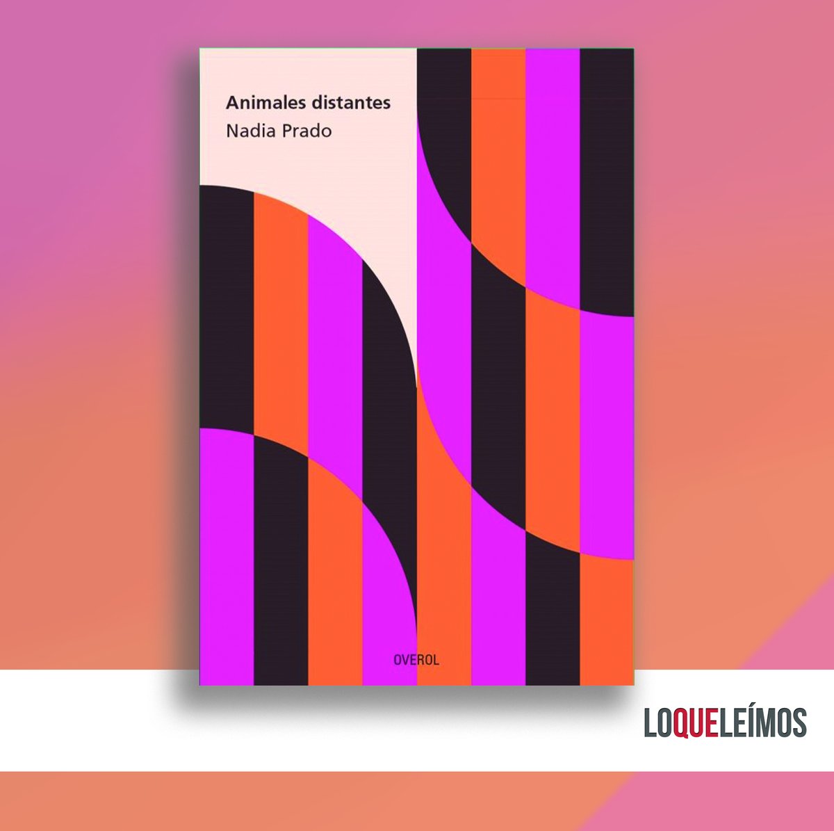 loqueleimos's tweet photo. ¡Hola! Hoy publicamos una reseña del poemario "Animales distantes" de Nadia Prado, editado por los amigos de @EdicionesOverol  
La reseña es de Greta Montero Barra 

Les dejo el link directo:
https://t.co/og6FQGclzK https://t.co/749uogA5Zc