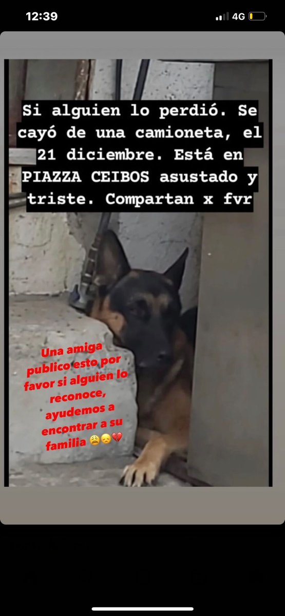 DefensoresAn's tweet photo. #Guayaquil Ayúdanos a encontrar a su familia . Rt https://t.co/72igpGRDbP