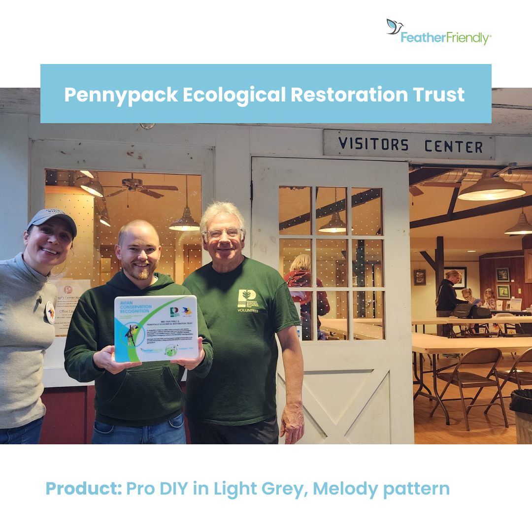 FeatherFriendly's tweet image. We love these beautiful before and after installation photos from Pennypack Ecological Restoration Trust.

Thank you for doing your part to protect the birds in your community 🤍

#birdcollisions #birdfriendlybuildings #windowcollisions #windowmarkers