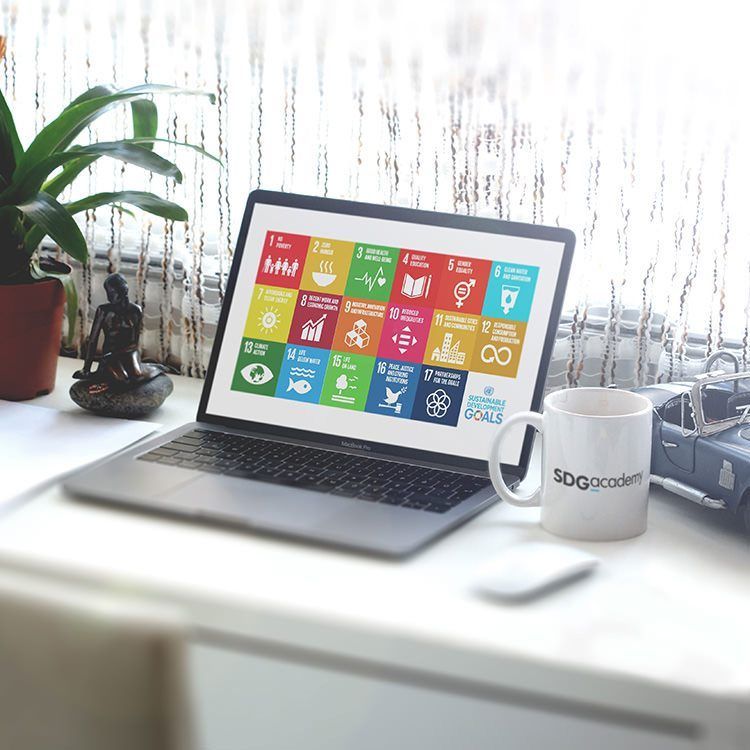SDG_Academy's tweet photo. It's never too early to make a New Year's resolution! Let 2024 be the year you commit to learning more about #SustainableDevelopment. Start by enrolling in a FREE SDG Academy course on @edXOnline. https://t.co/uz2vRIhzxs
#SDGs #Sustainability #LearnForTheFuture #OnlineEducation https://t.co/yluvwdwH8z
