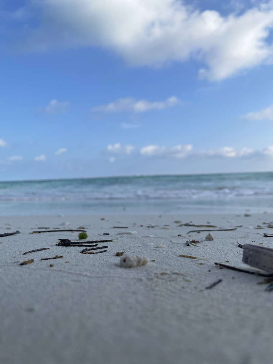 Last morning beach walk