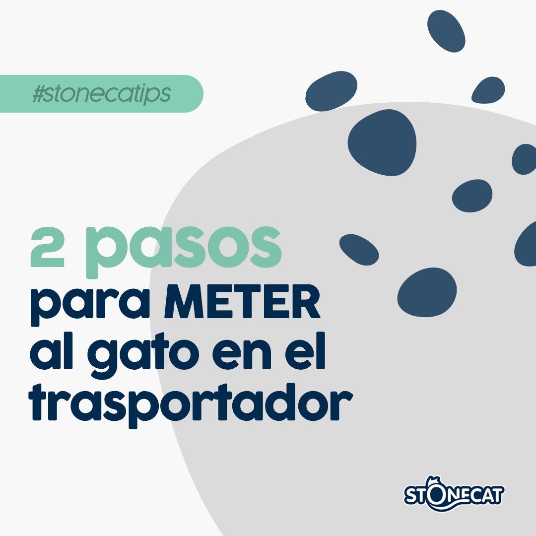 StonecatOficial's tweet photo. ¿Cómo meter a tu gato en el trasportador de forma segura? 
Seguí estos pasos claves. ¡Una forma segura y tranquila para tu gato en cada viaje!🐾✨
#GatosSeguros #ViajesConMascotas https://t.co/NnBXiGI9dl