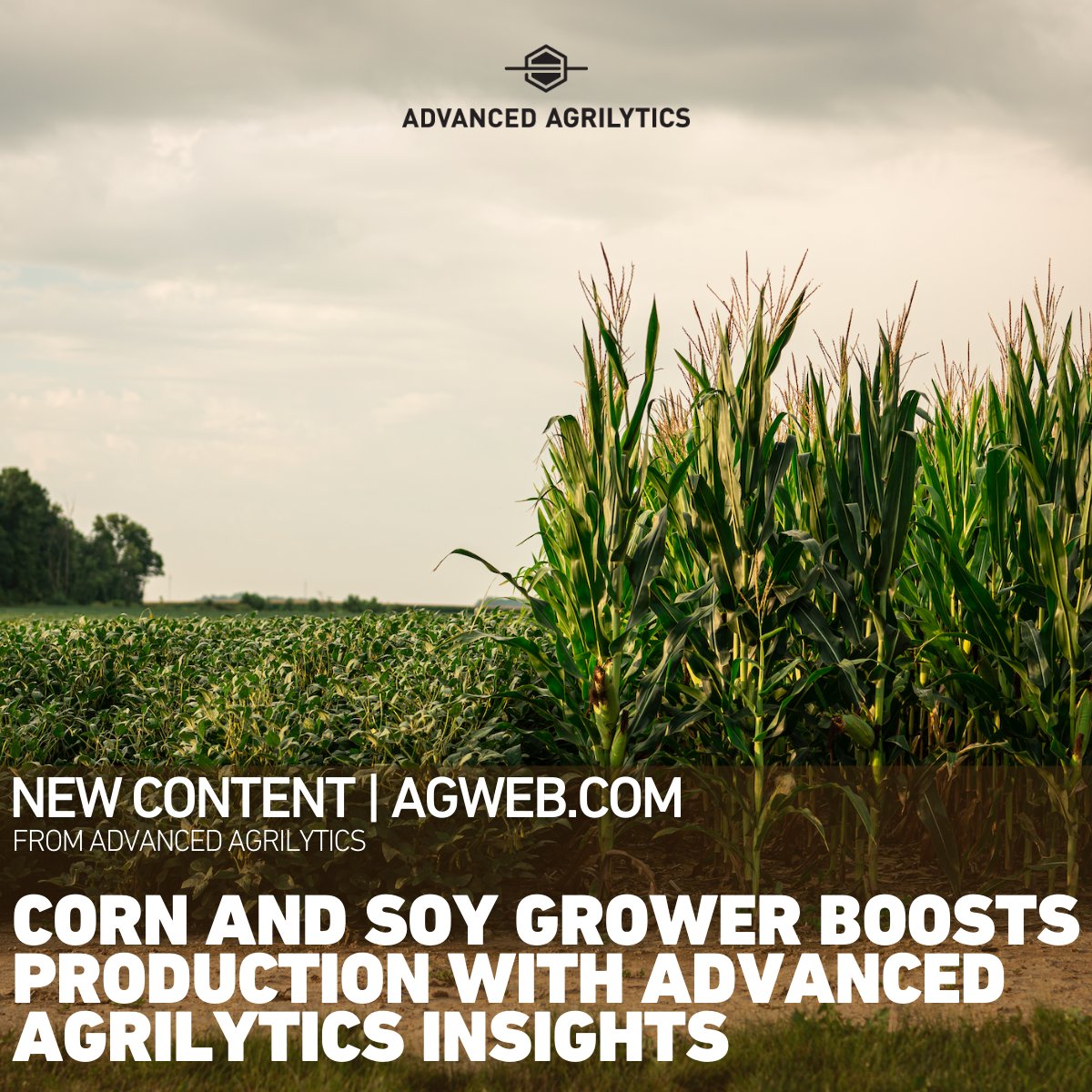 Kyle Mehmen's quest for yield potential and consistency led him to Advanced Agrilytics.  Check out how our game-changing agronomic management left a lasting impact on MBS Family Farms. Read their story here: loom.ly/ZEl6KJ0