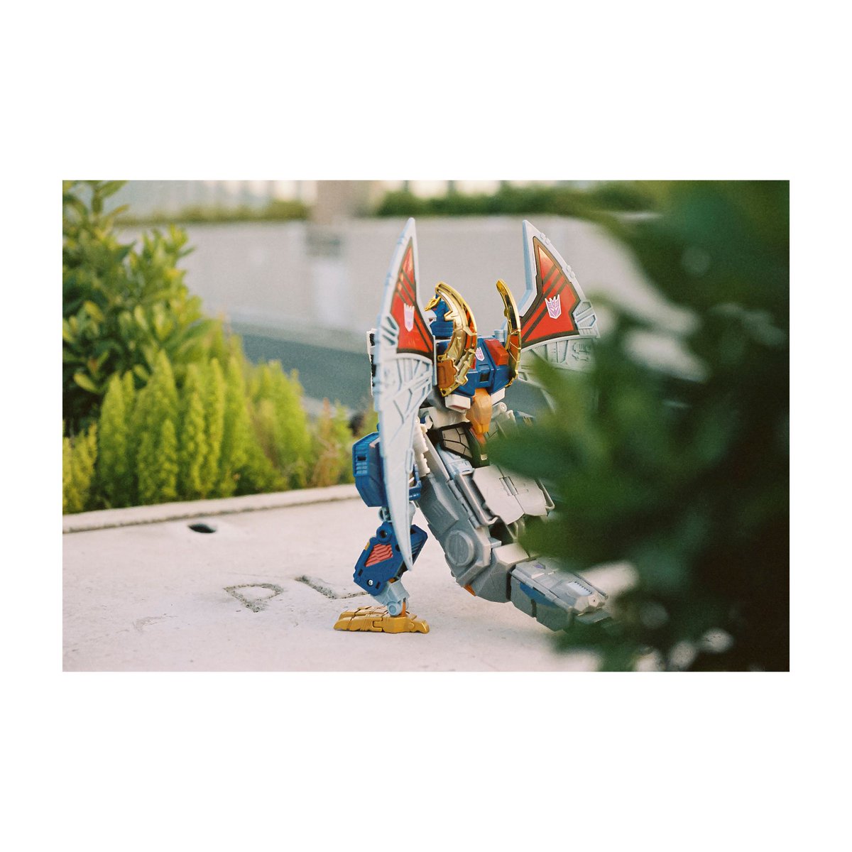 MagnusLabel's tweet photo. “Free as a Bird”
#NikonF3 #Nikon55mmF28
#MadeWithKodak #KodakPortra400
D&S PhotoGoldenHK
#Transformers #トランスフォーマー #Deathsaurus #デスザラス #TransformersLegacy #フォルダー画像に癒しを求める #Maccadam #MagnusLabel #LoadFilm https://t.co/0StrUH8Jvi