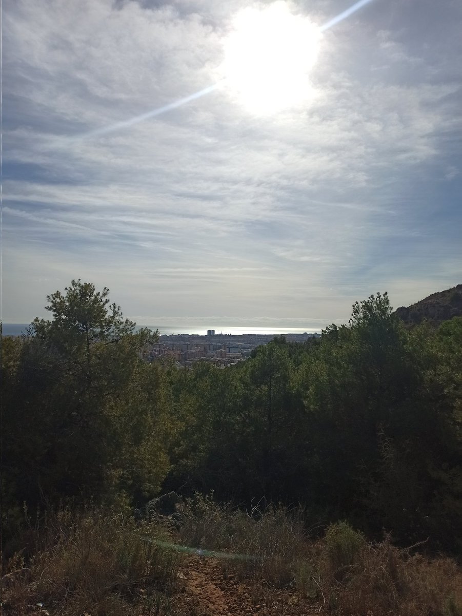 Así es Málaga #malaga #costadelsol